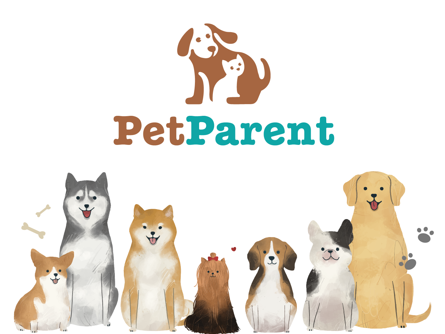 PetParent Case Study